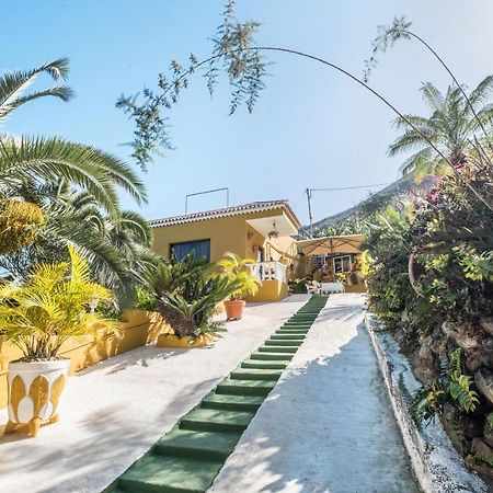Finca Alejandrina La Guancha Eksteriør bilde