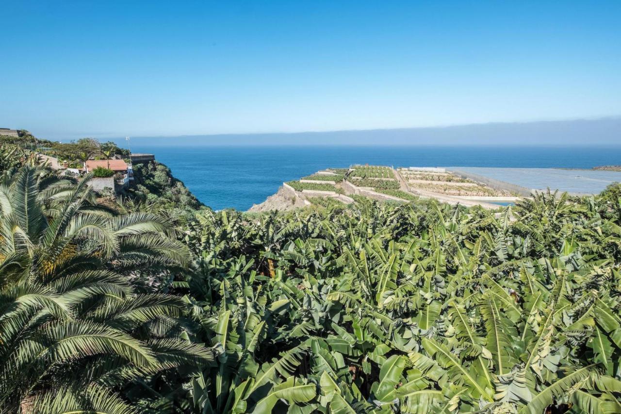 Finca Alejandrina La Guancha Eksteriør bilde