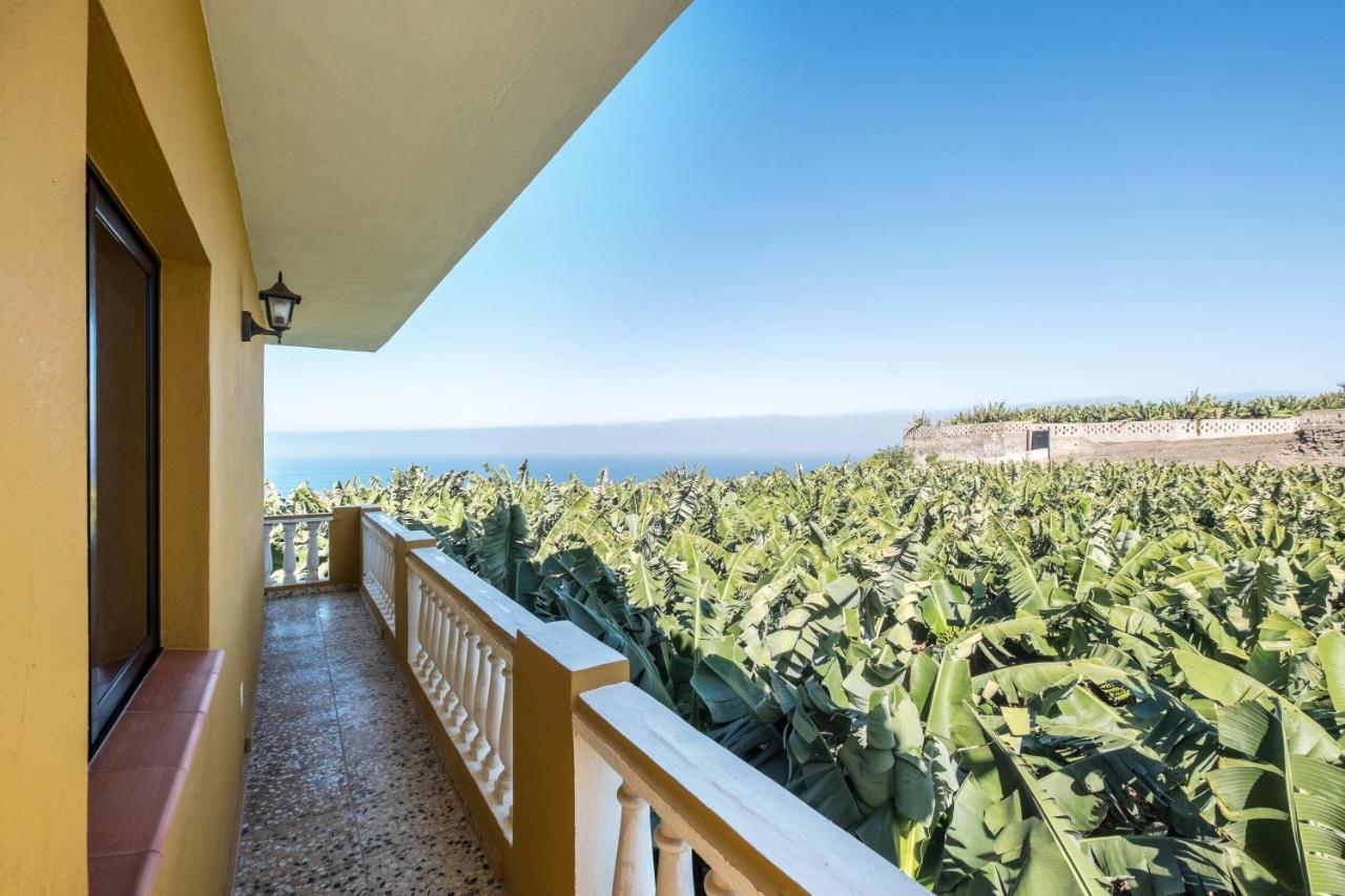 Finca Alejandrina La Guancha Eksteriør bilde